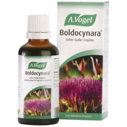 A.Vogel Boldocynara 50ml