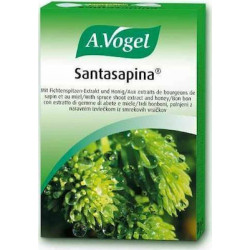 A.Vogel Santasapina Bonbons...