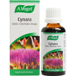 A.Vogel - Artichoke Cynara...