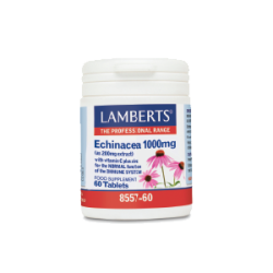 LAMBERTS ECHINACEA 1000MG...