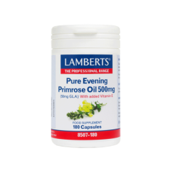 LAMBERTS EVENING PRIMROSE...