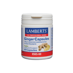 LAMBERTS GINGER 120MG 60CAPS