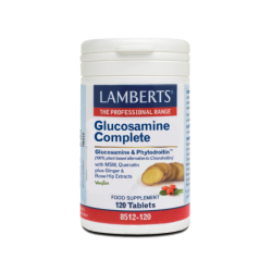 LAMBERTS GLUCOSAMINE...