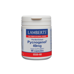 LAMBERTS PYCNOGENOL 40MG...