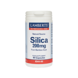 LAMBERTS SILICA 200mg 90CAPS