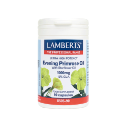 LAMBERTS EVENING PRIMROSE...