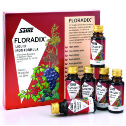 Power Health Floradix 10 x...